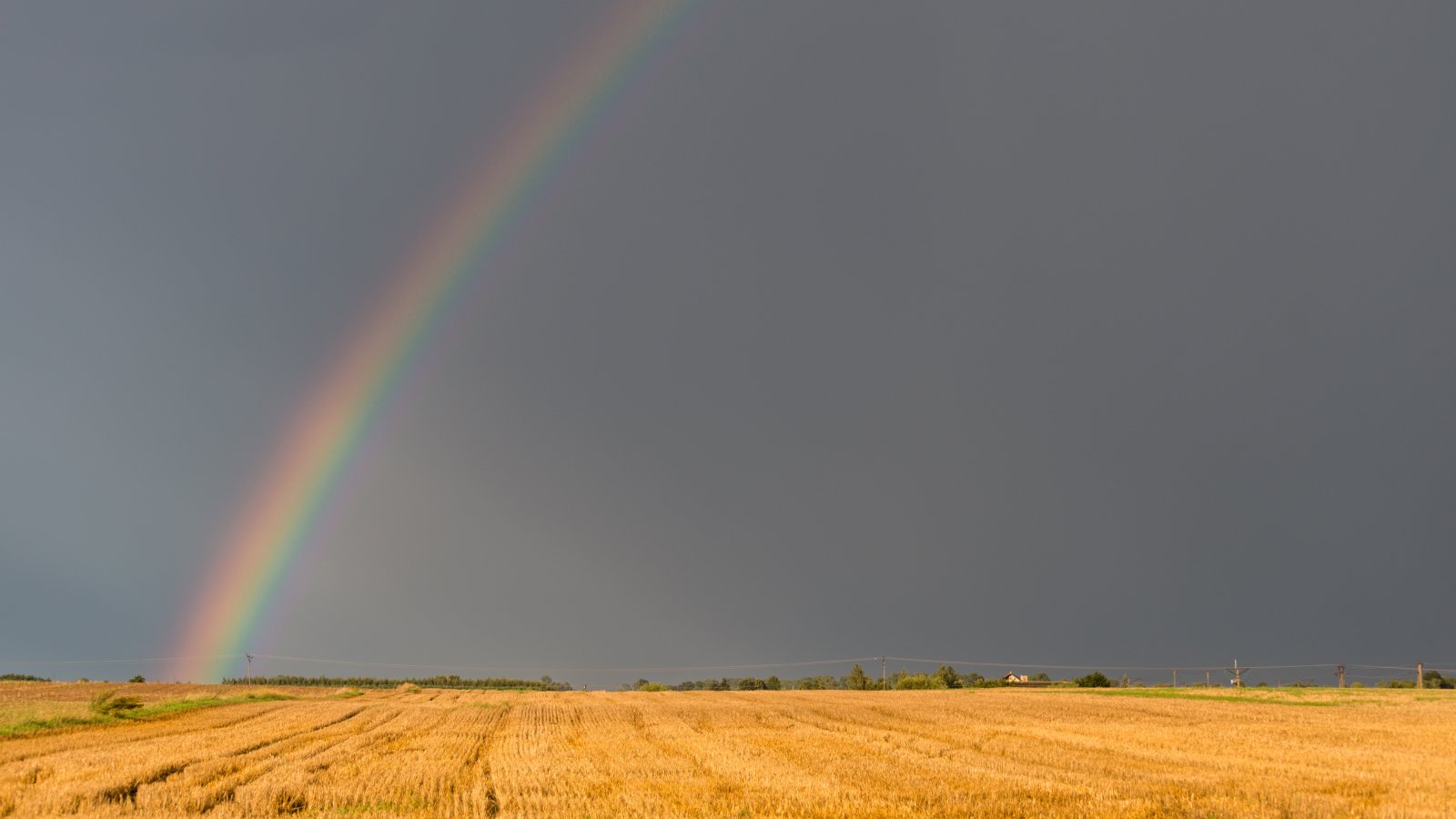 rainbow-over-a-field-on-a-hot-summer-stormy-day-wi-2023-11-27-05-21-08-utc