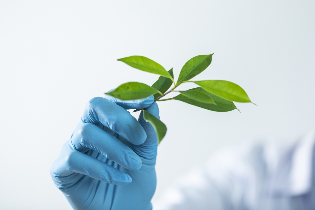 Biologiczne środki ochrony roślin - czy to się opłaca? 21 Biologiczne środki ochrony roślin – czy to się opłaca?